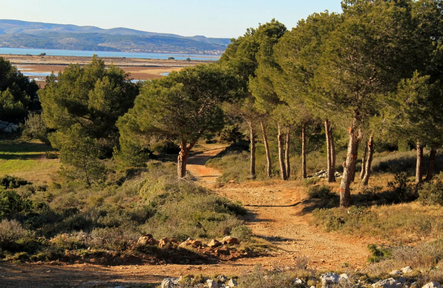 Le massif de la Clape